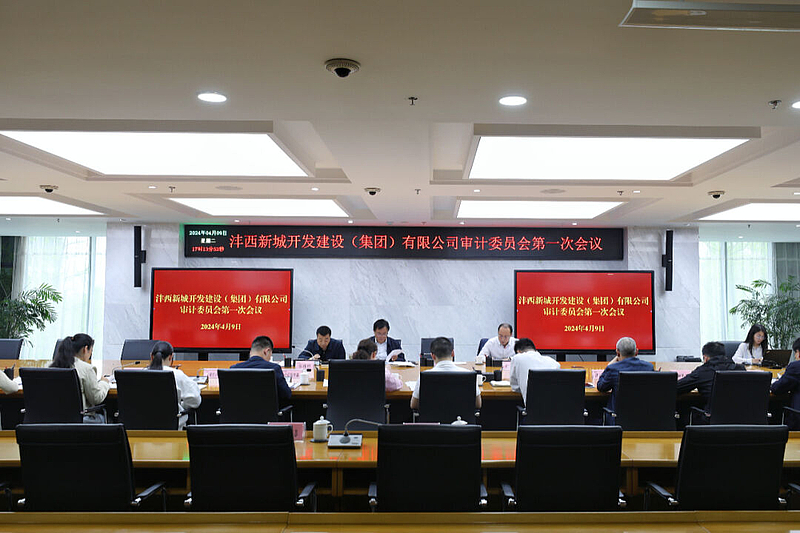 沣西集团召开审计委员会2024年第1次会议