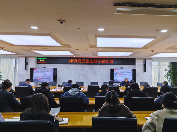 感悟初心使命 厚植家国情怀——沣西投资党支部召开专题党课