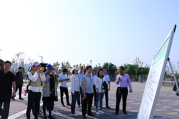 IMG_3010.JPG IMG_3010.JPG